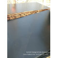 21*1250*2500mm Plywood Poplar Core Black Film